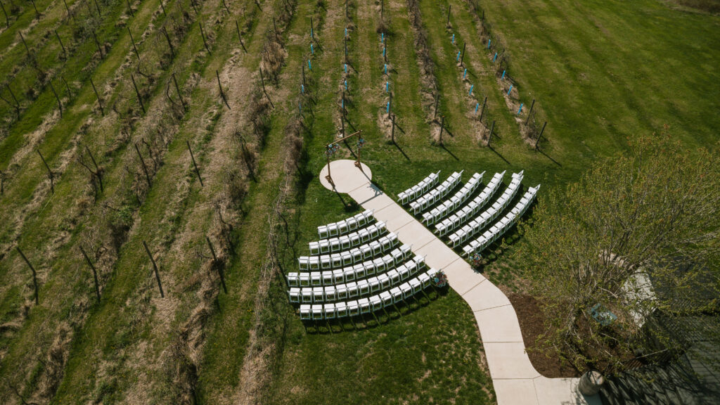 Ceremony in the vineyard